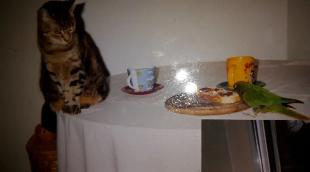 Andachtsbild von ❤️Deine Mutti und deine Oma ❤️