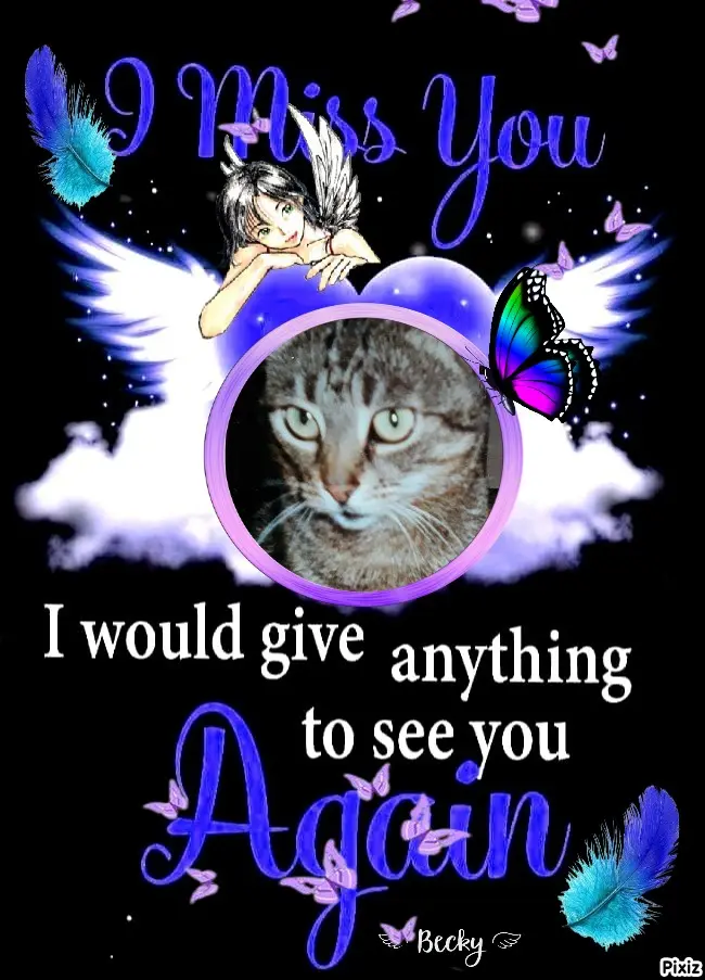 Andachtsbild von Tanja mit Timmy im Herzen