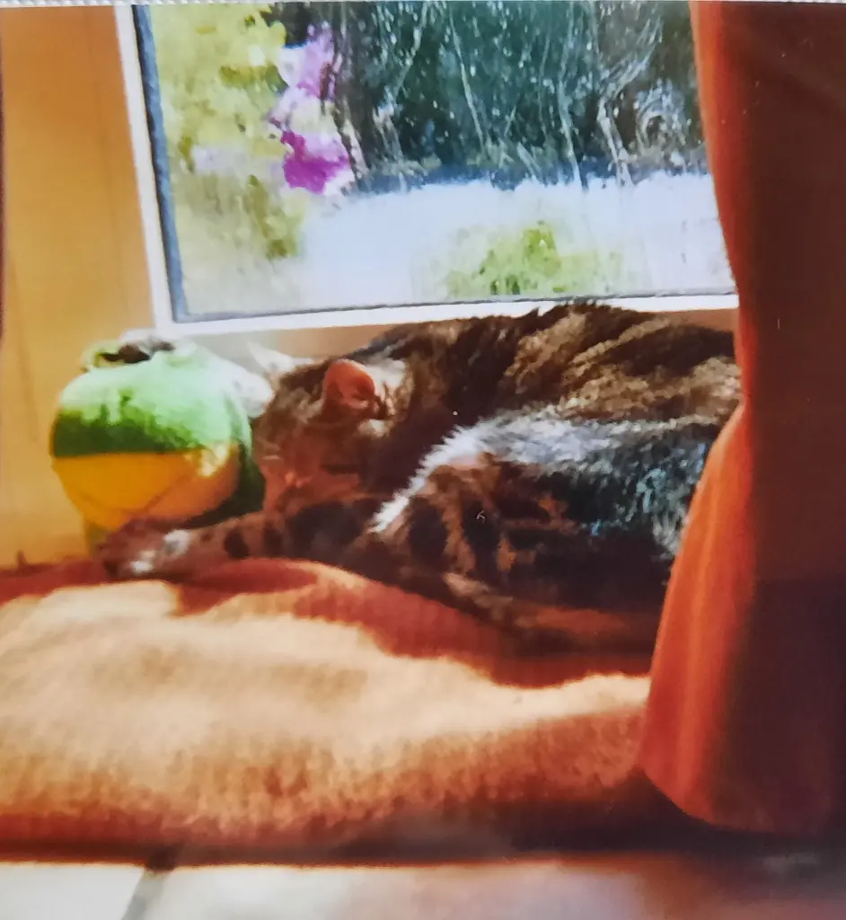 Andachtsbild von ❤️Deine Mutti Eike und Oma Edeltraud ❤️