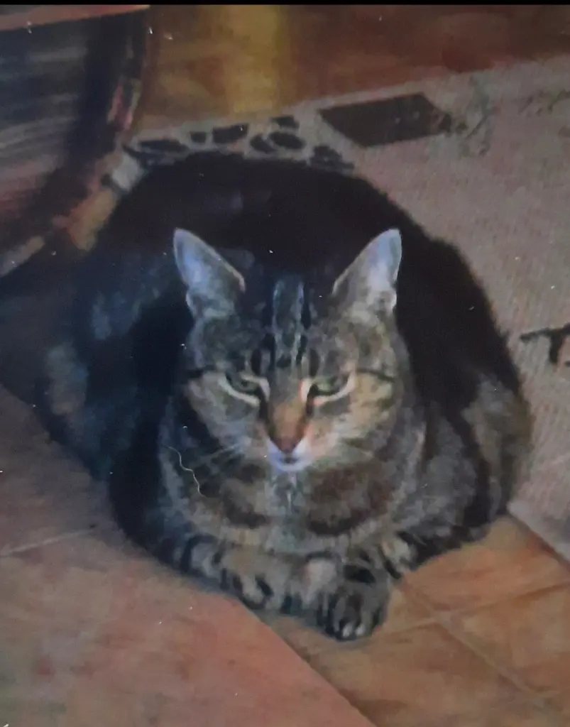 Andachtsbild von ❤️105 Mo❤️Deine Mutti und deine Oma ❤️ 