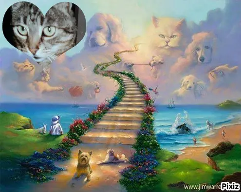 Andachtsbild von Tanja mit Timmy im Herzen 