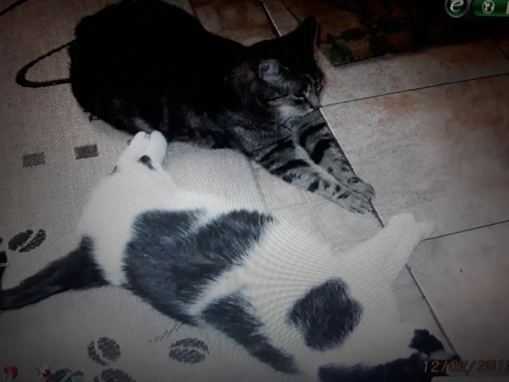 Andachtsbild von ❤️107 Mo❤️Deine Mutti Eike und Oma Edeltraud ❤️