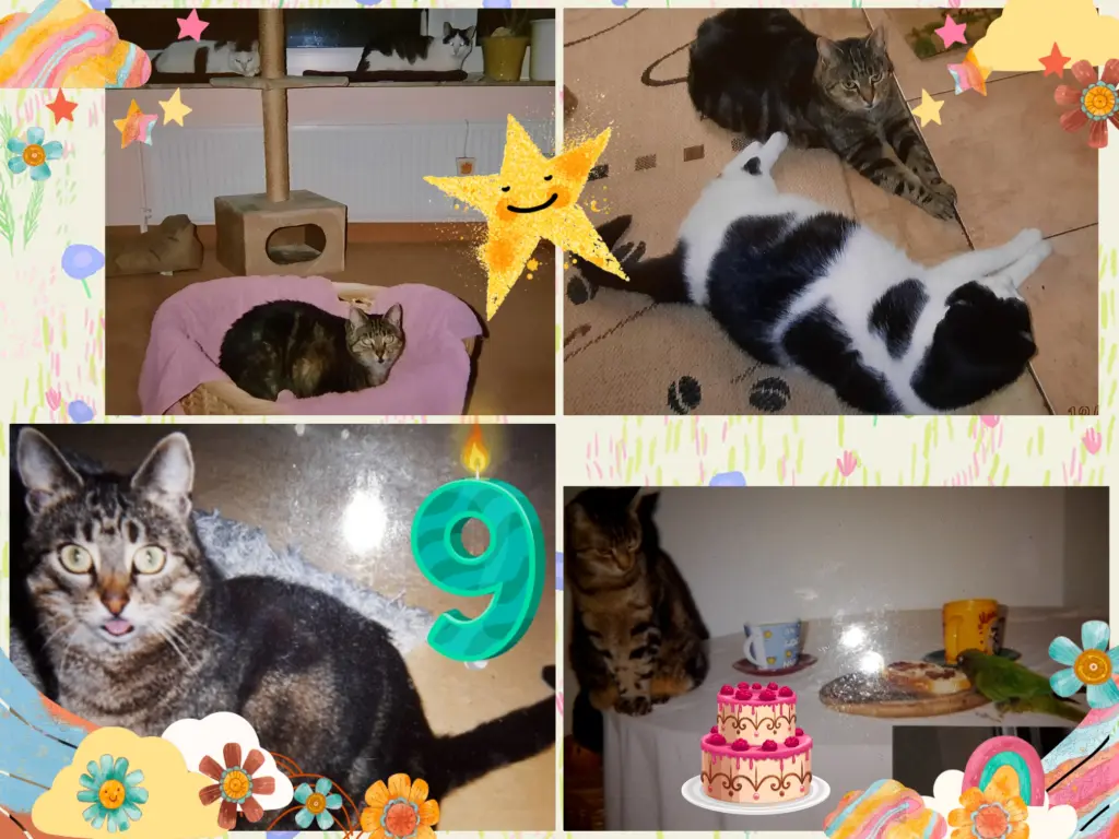 Andachtsbild von ❤️9 .Sternchengeburtstag Mullimaus❤️