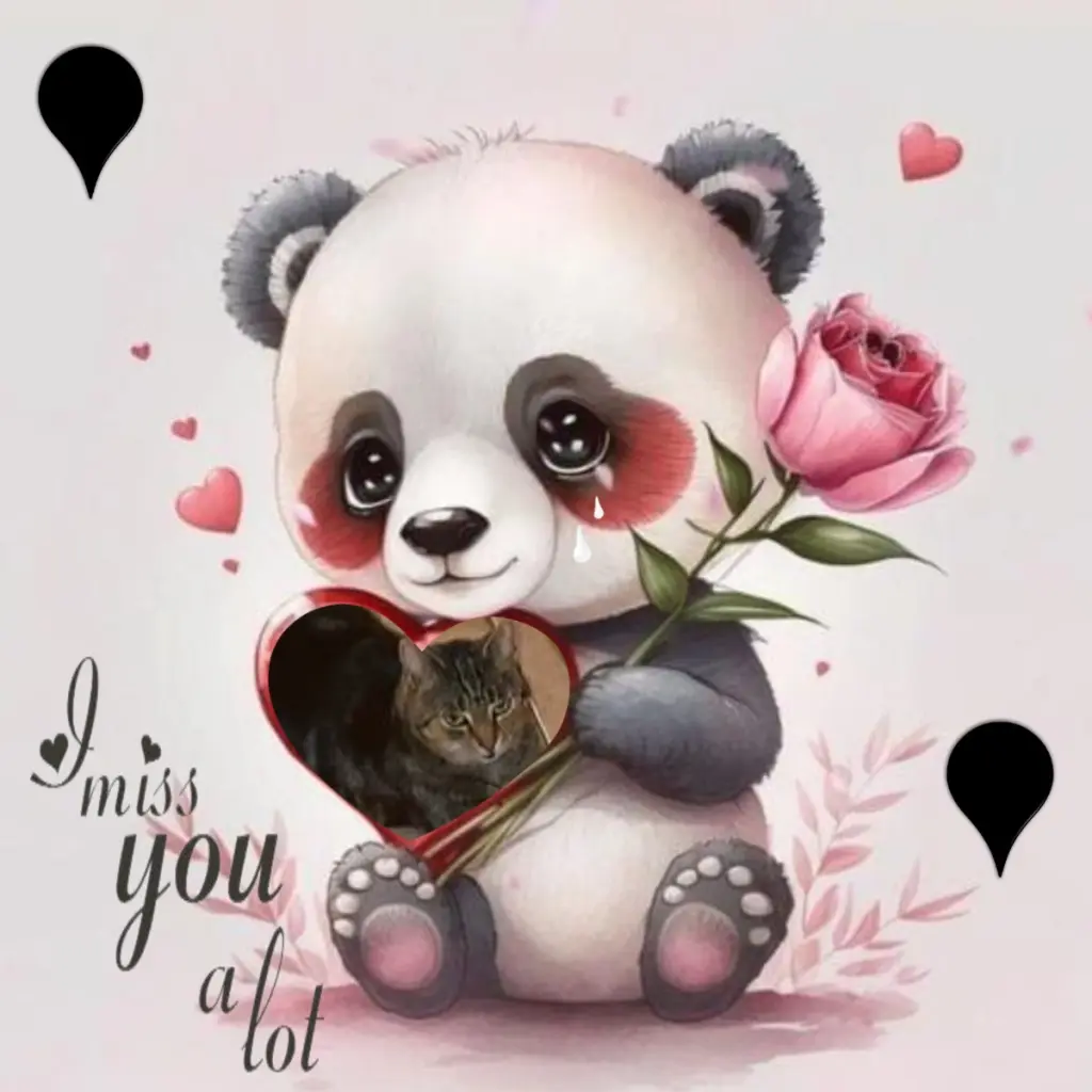 Andachtsbild von 9.Sternchen❤️⭐️Gedenktag❤️