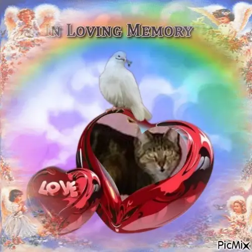 Andachtsbild von ❤️❤️❤️❤️❤️❤️❤️❤️❤️❤️