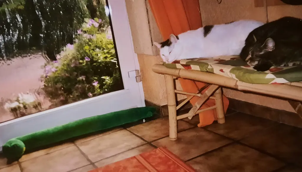 Andachtsbild von ❤️109 Mo❤️ Deine Mutti und Deine Oma ❤️deine Oma ❤️