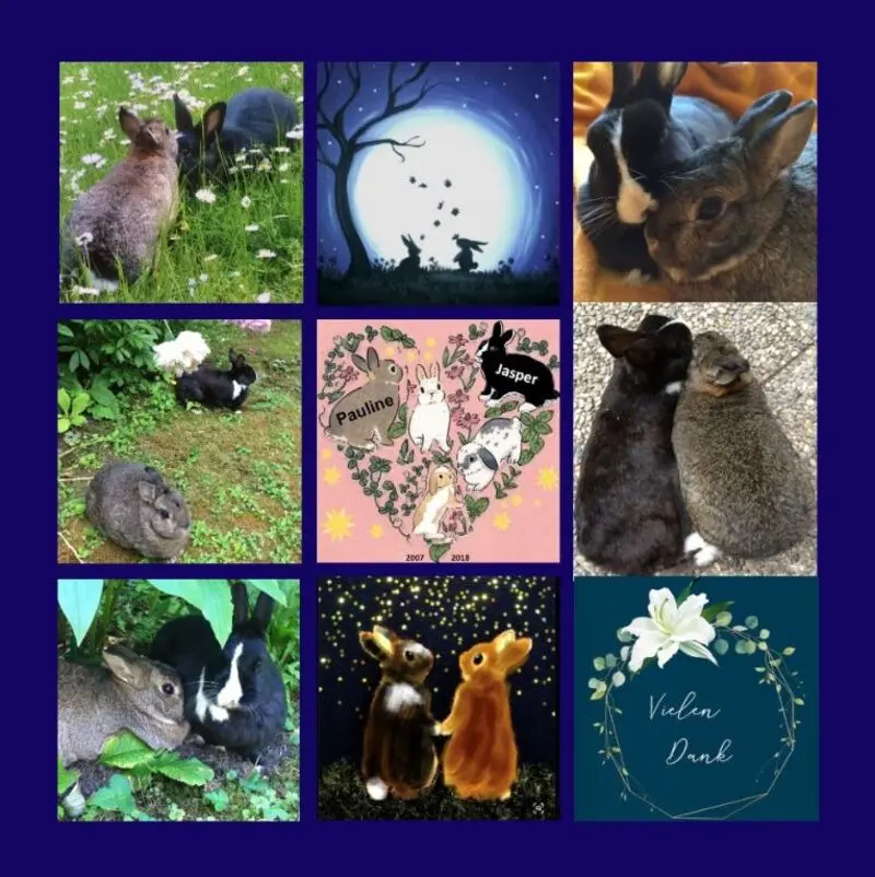 Andachtsbild von Danke von Jasper und Pauline