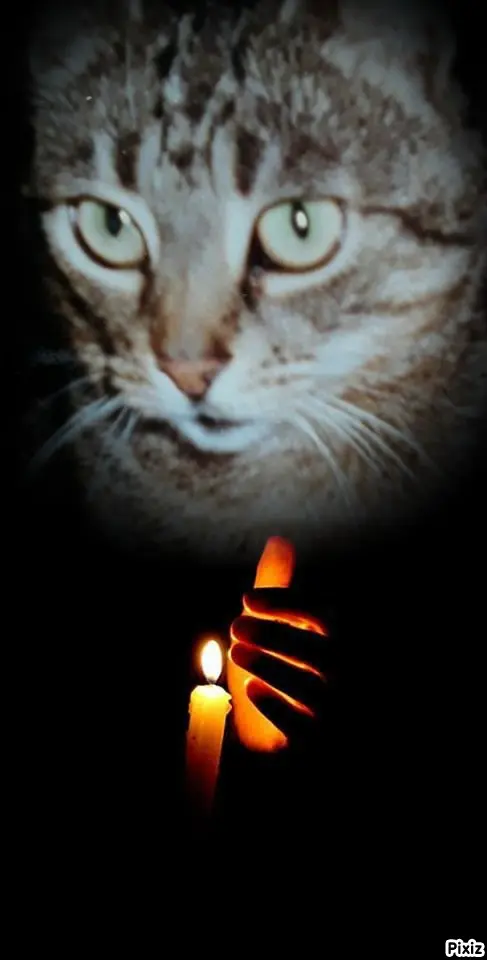 Andachtsbild von Tanja mit Timmy im Herzen