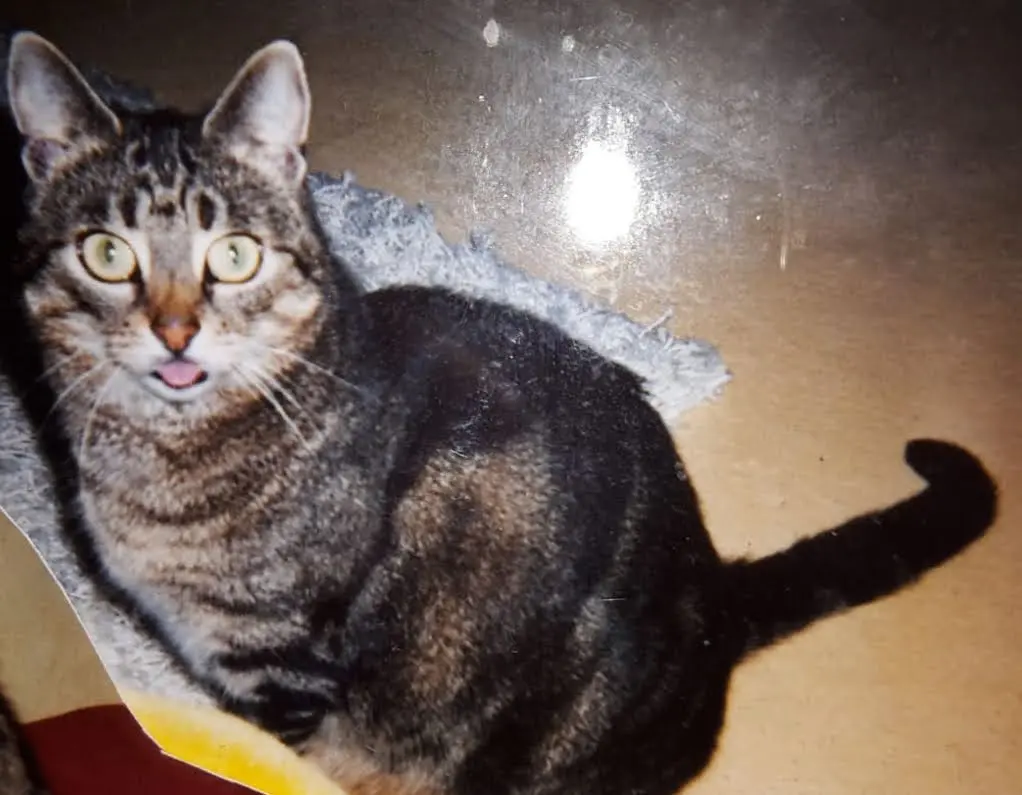 Andachtsbild von ❤️Deine Mutti und deine Oma ❤️