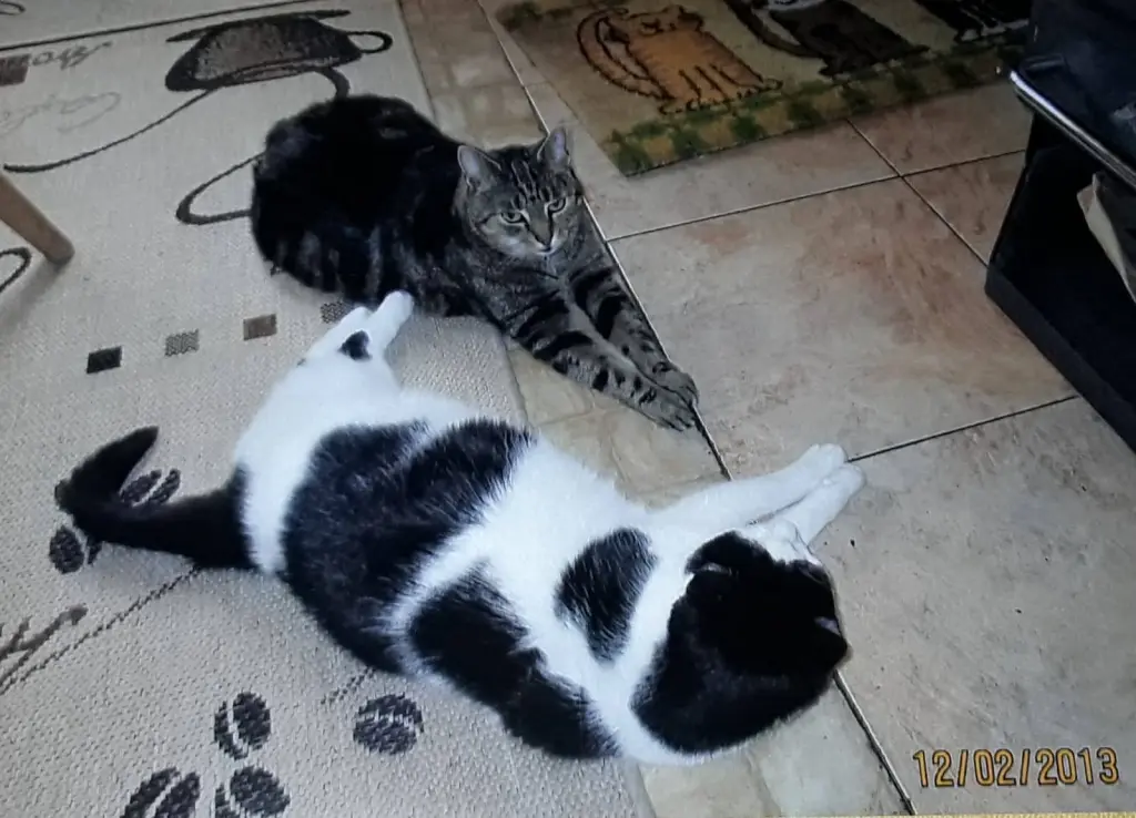 Andachtsbild von ❤️113 Mo❤️Deine Mutti und deine Oma ❤️