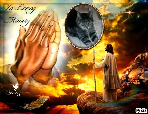 Andachtsbild von Tanja mit Timmy im Herzen