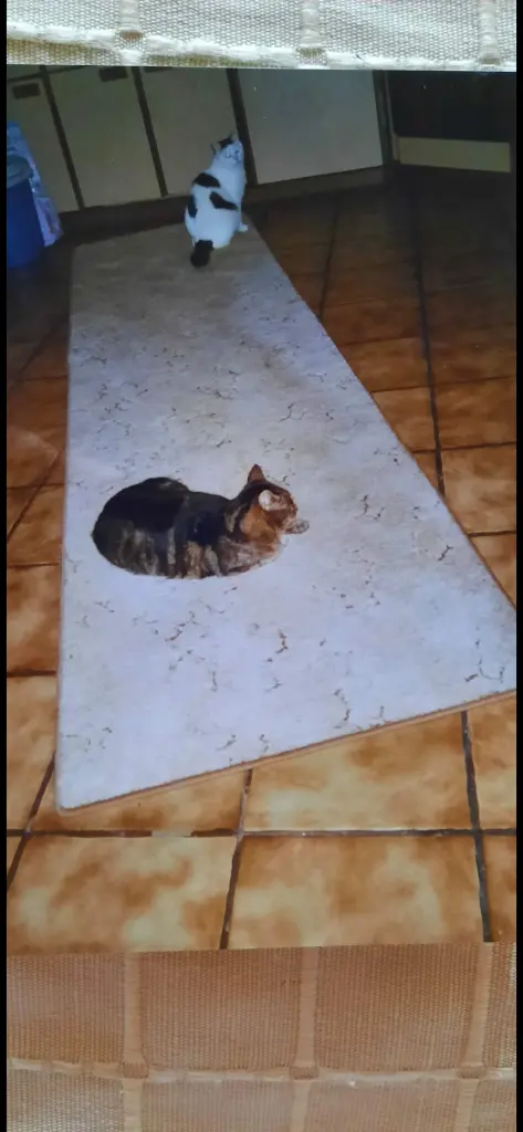 Andachtsbild von ❤️116 Mo❤️Deine Mutti und deine Oma ❤️ 