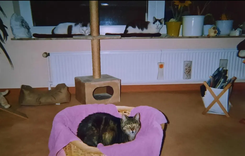 Andachtsbild von ❤️117 Mo ❤️Deine Mutti und deine Oma ❤️ 