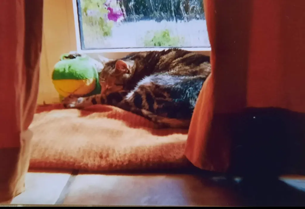 Andachtsbild von ❤️118 Mo❤️Deine Mutti und deine Oma ❤️ 