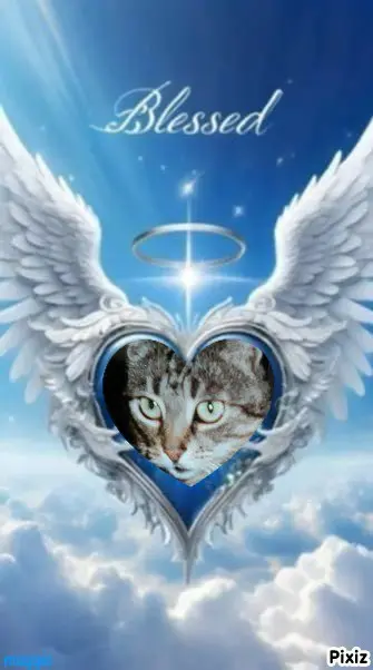 Andachtsbild von Tanja mit Timmy im Herzen