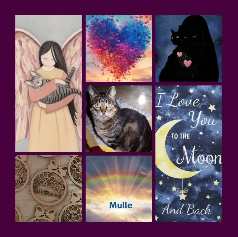 Andachtsbild von Rosen zum 10. Sternchentag für Mulle