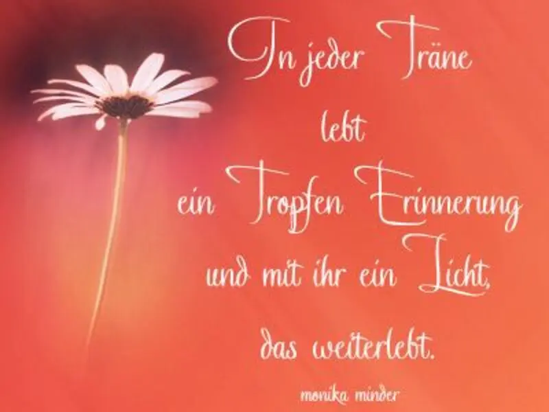 Andachtsbild von Corinna mit Emma, Vinni-Ved, Linette,Jengi, Pummelchen und anderen Sternleine im Herzen