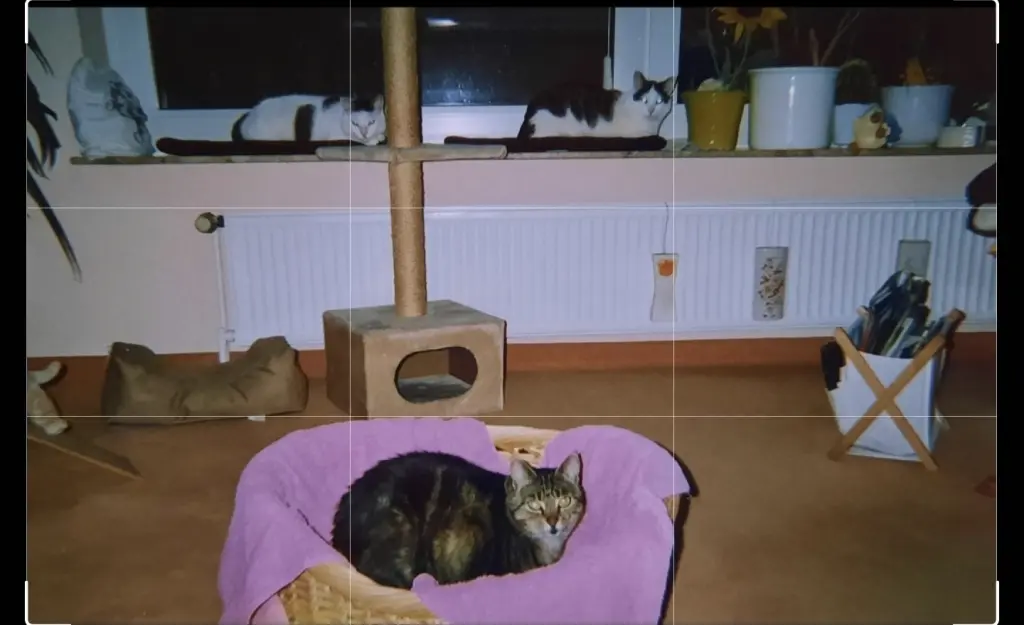 Andachtsbild von ❤️121 Mo❤️Deine Mutti und deine Oma ❤️