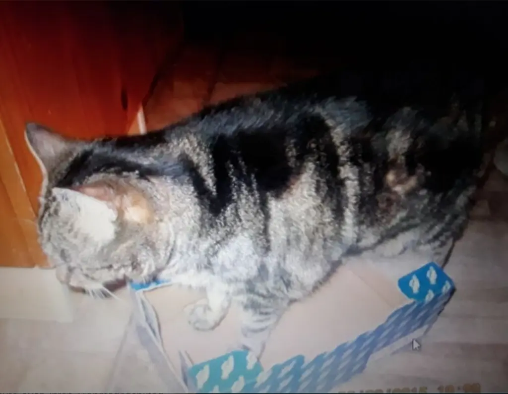 Andachtsbild von ❤️122 Mo❤️Deine Mutti und deine Oma ❤️