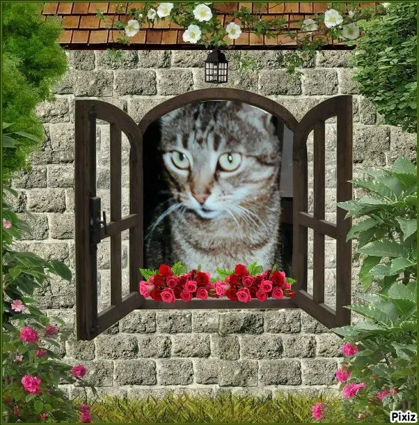 Andachtsbild von Tanja mit Timmy im Herzen