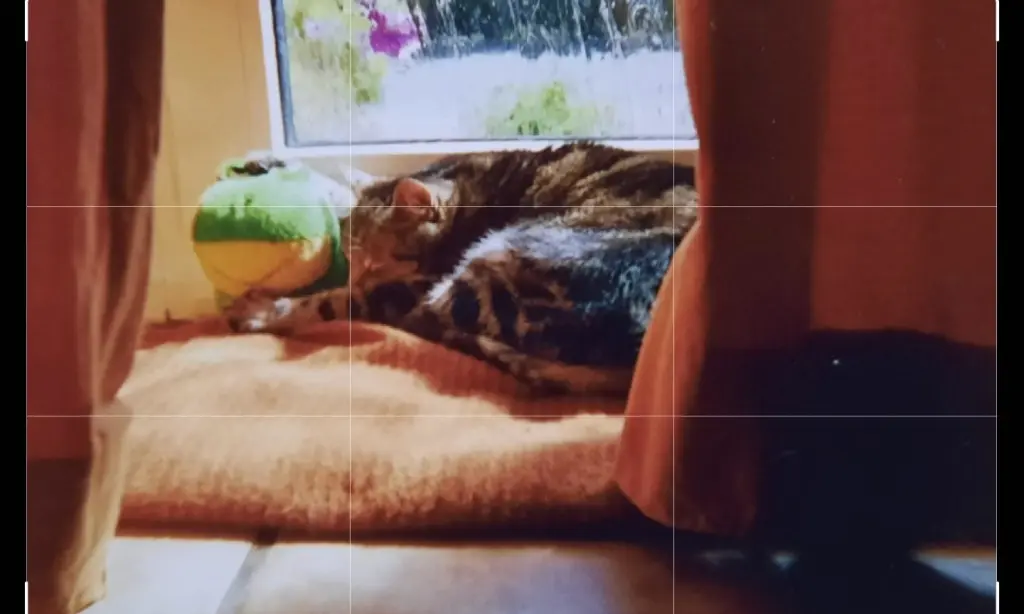 Andachtsbild von ❤️124 Mo❤️Deine Mutti und deine Oma ❤️