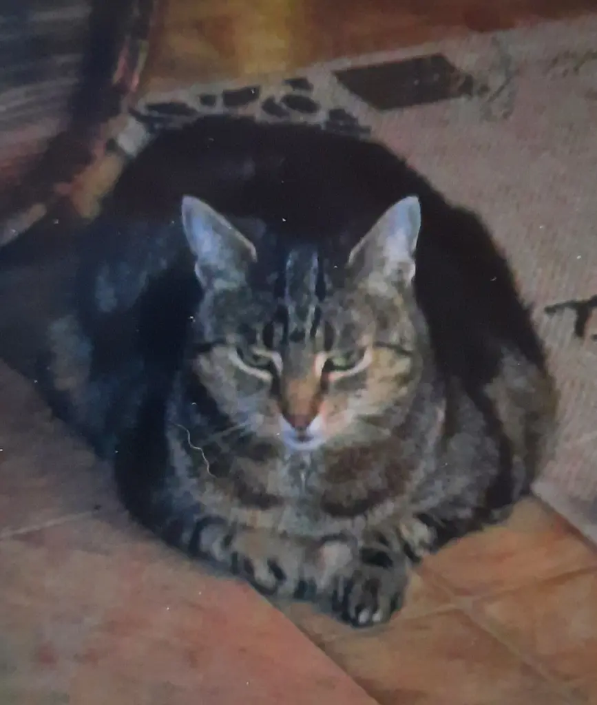 Andachtsbild von ❤️126 Mo❤️Deine Mutti und deine Oma ❤️