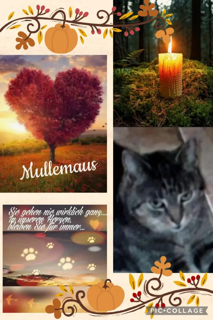 Andachtsbild von ❤️127 Mo ❤️Deine Mutti und deine Oma ❤️