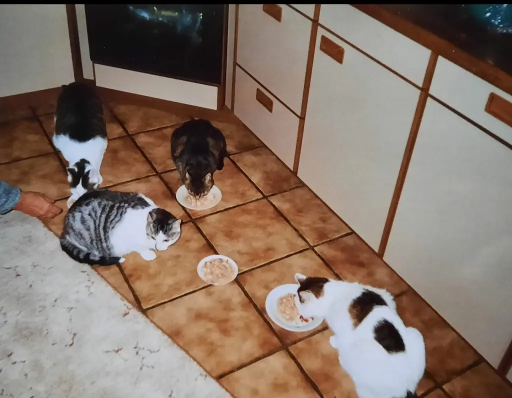 Andachtsbild von ❤️128 Mo❤️Deine Mutti und deine Oma ❤️