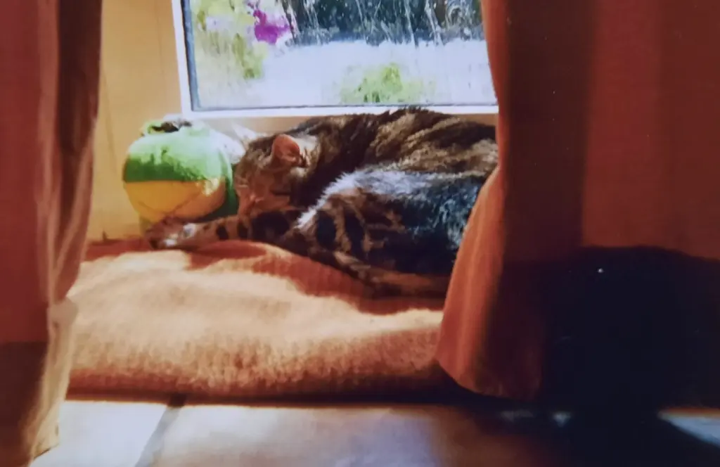 Andachtsbild von ❤️129 Mo❤️Deine Mutti und deine Oma ❤️