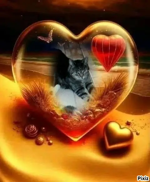 Andachtsbild von Tanja mit Timmy im 💘🐈🐾
