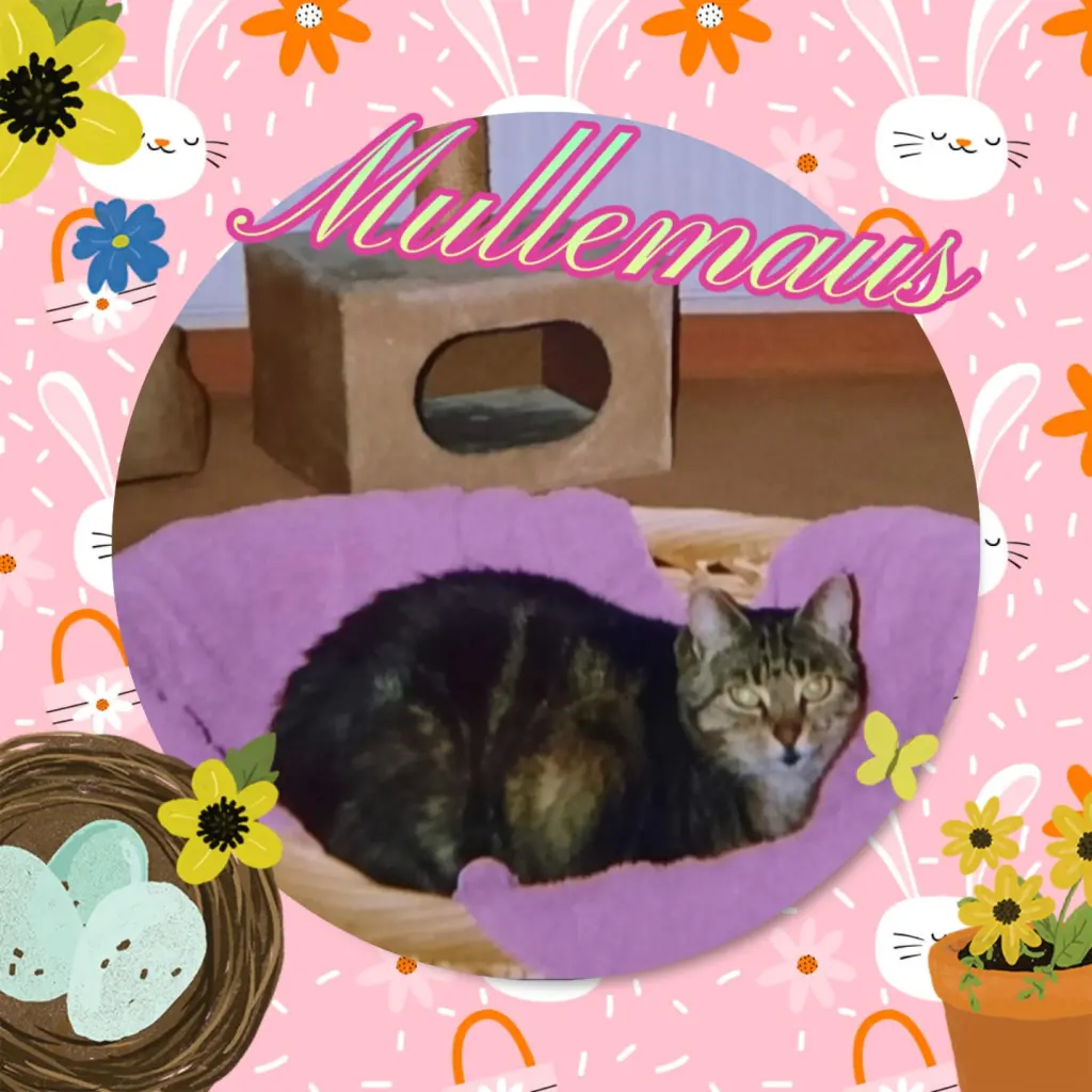Andachtsbild von 💐Frohe Ostern💐 Mullemaus ❤️