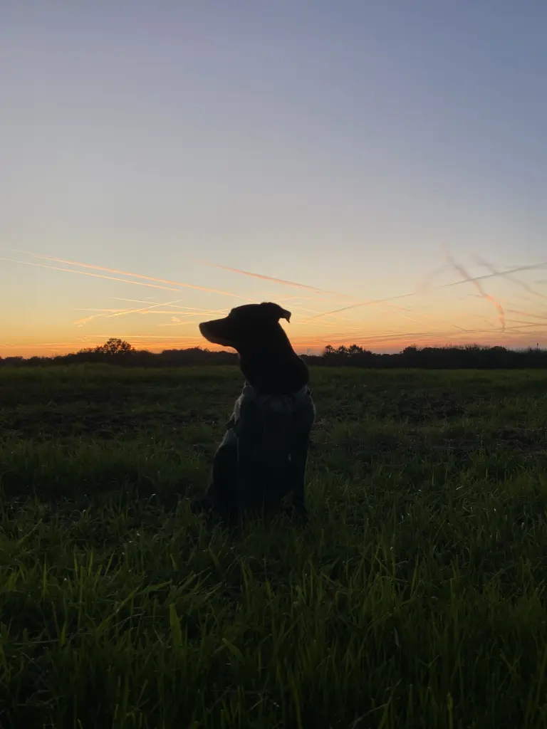 Andachtsbild von Katharina