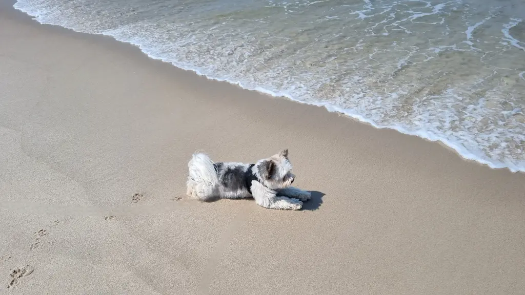 ...und wir wollten doch noch mal ans Meer :(((