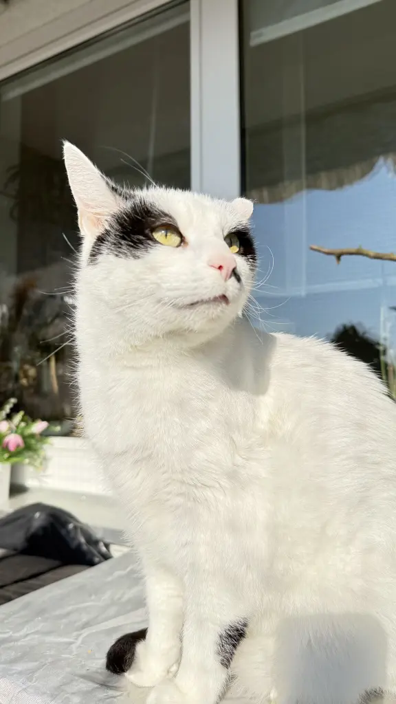 Bild von Max