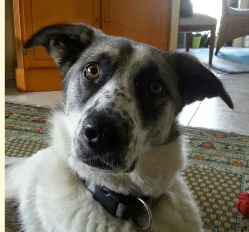 Condolence image of Gerd Sperling