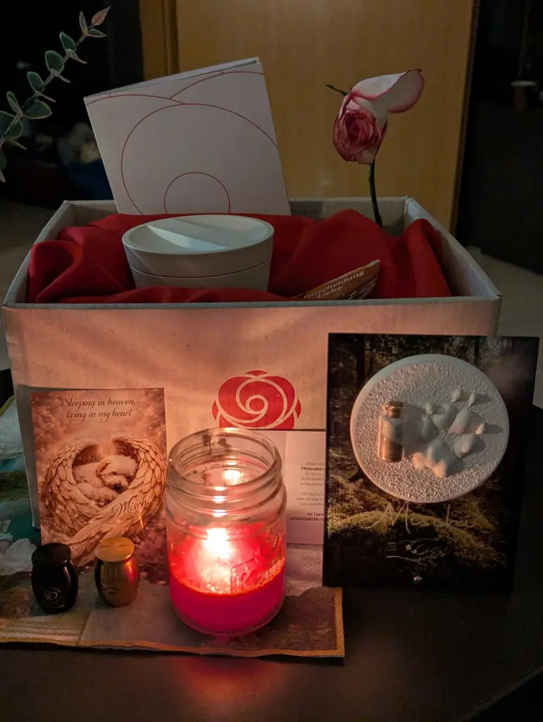 Condolence image of Mandy Radzanowski