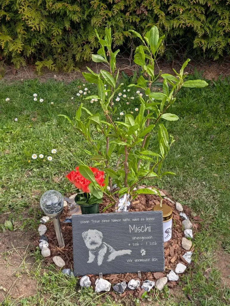 Condolence image of Mandy Radzanowski
