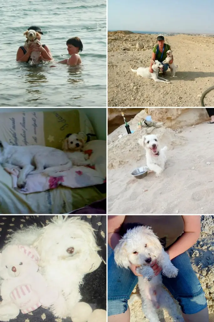 Ägypten 2007-2011