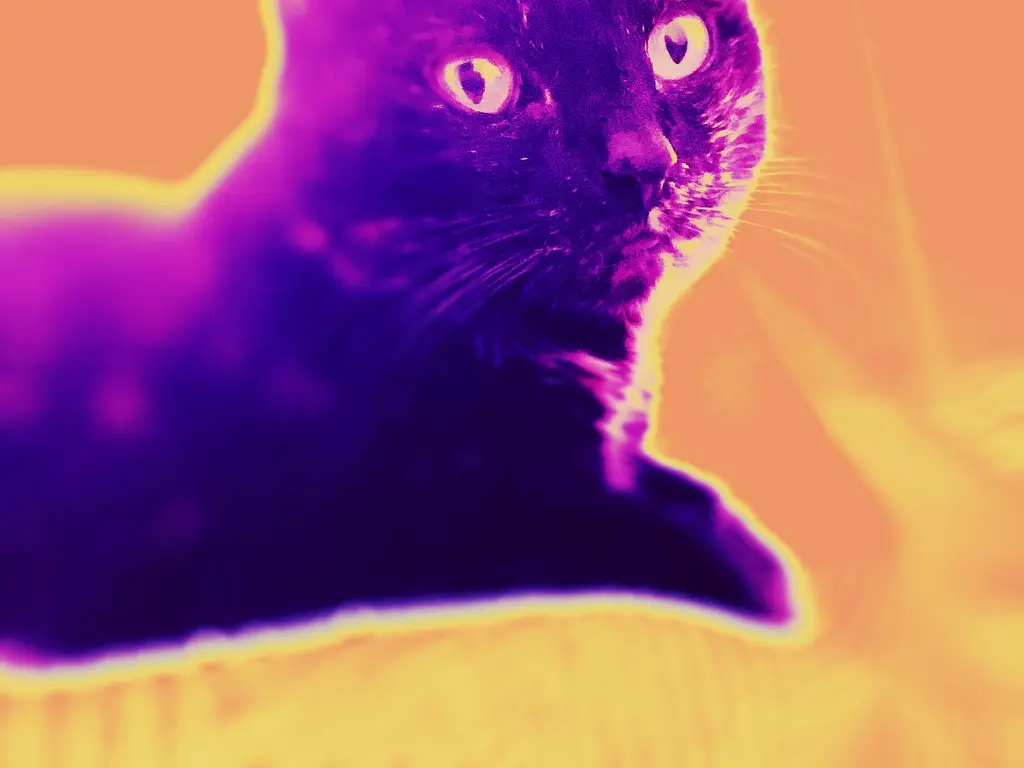 Image from Gaia