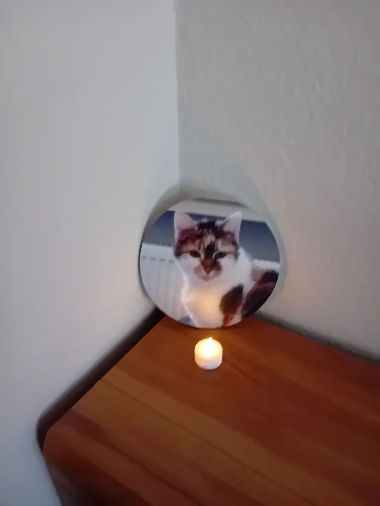 Image from Trixie