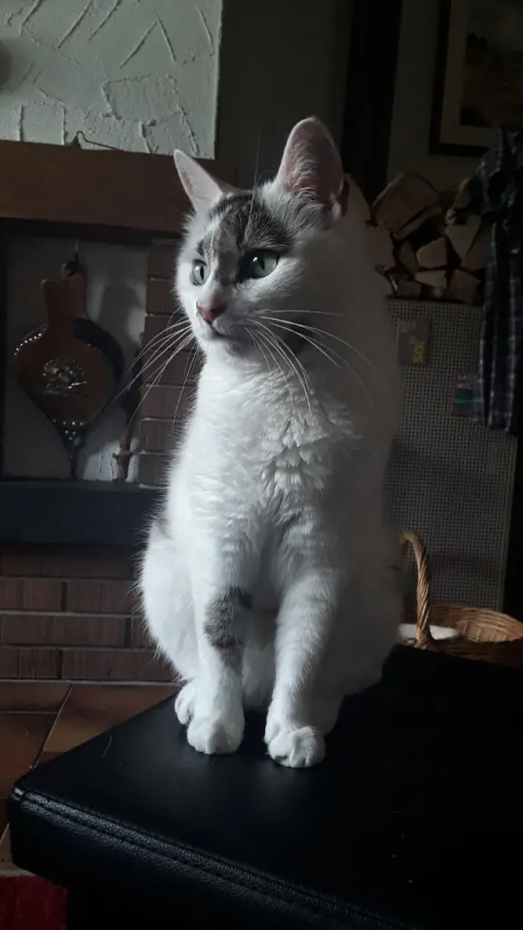 Meine kleine Schönheit.