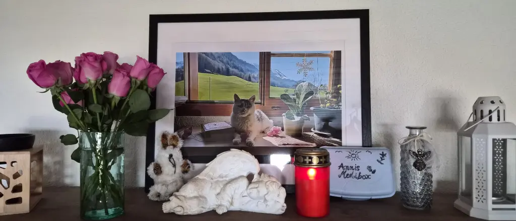 I will never forget you. ❤️