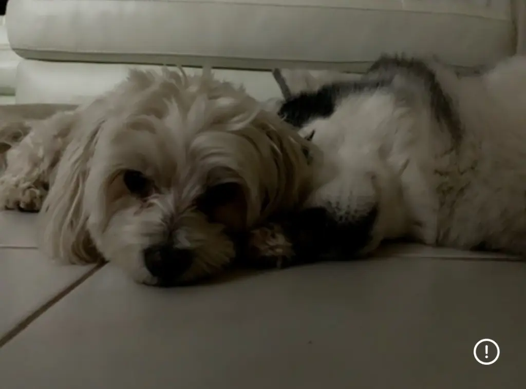 Condolence image of Julien