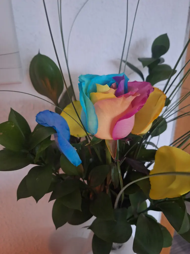 Condolence image of Deine dich immer liebende Mama