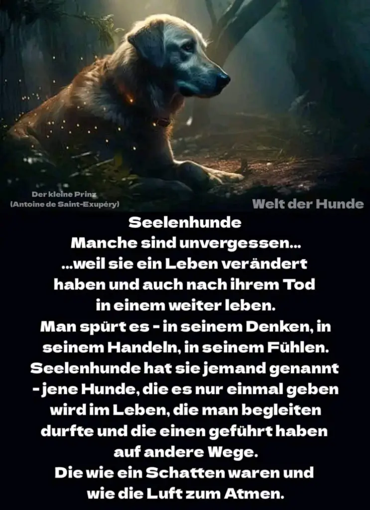 Condolence image of Deine dich immer liebende Mama