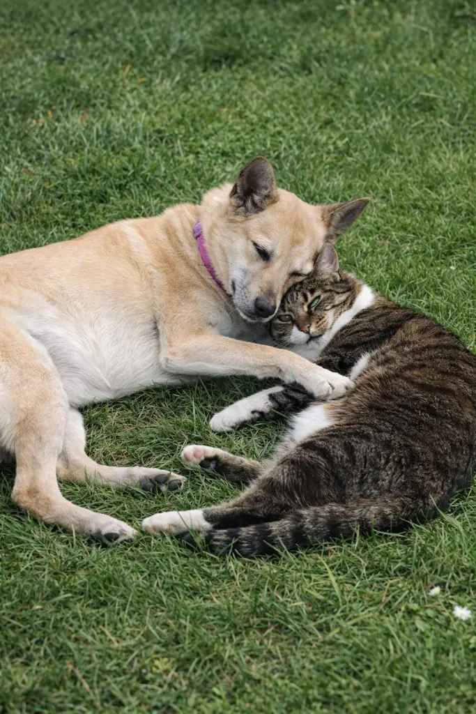 Condolence image of Nicole und Mary