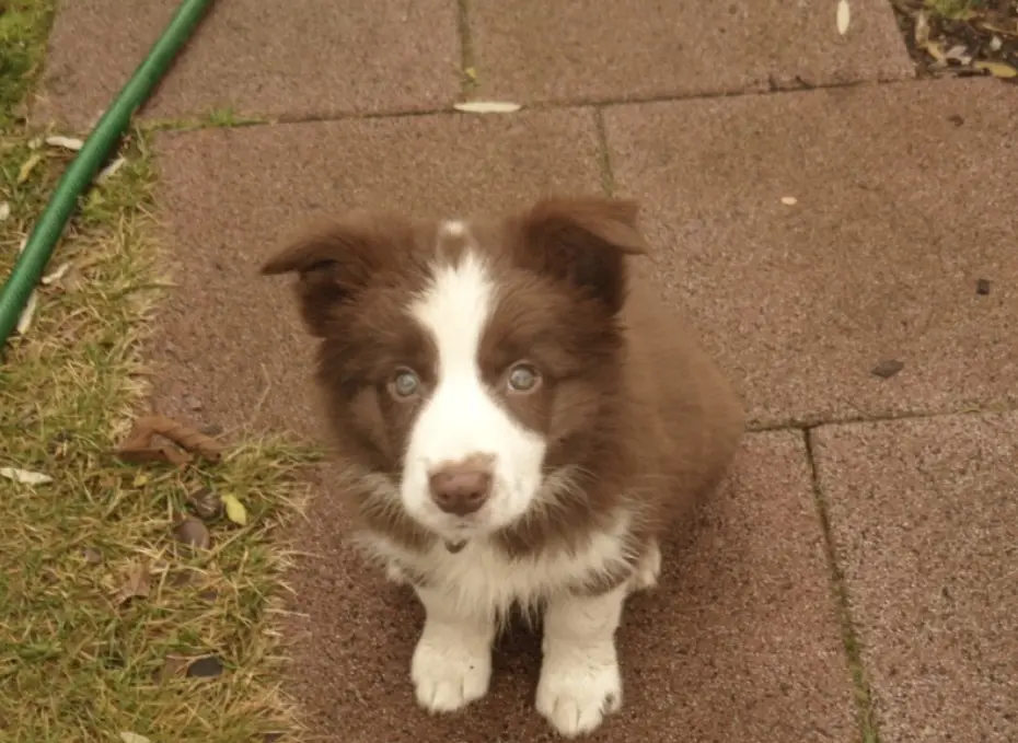 Das süßte Baby von Tag eins bis zum letzten Tag.