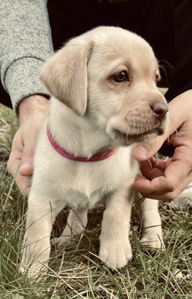 Image from Moana Aroha