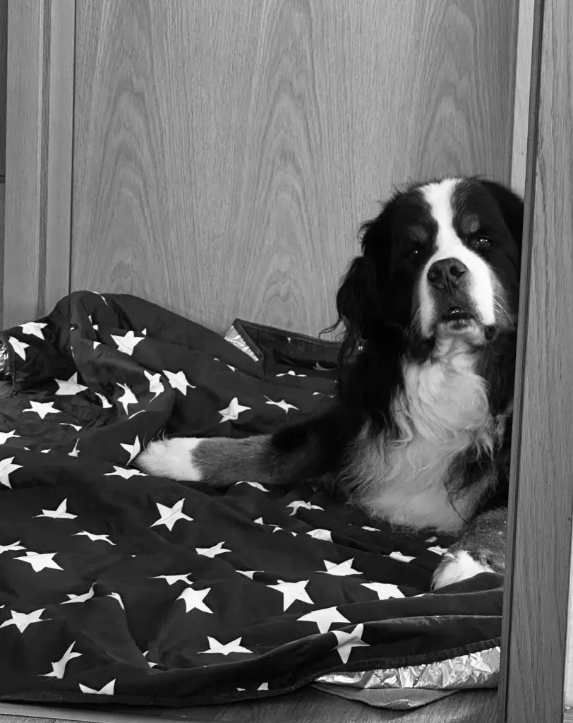 Andachtsbild von Anja Lexow