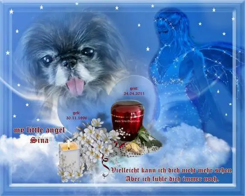 Image from dich meine allerliebste kleine Sina-Maus